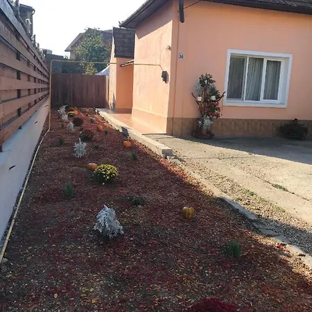 Case de vacanță Permissive *