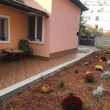 Permissive Holiday home Cluj-Napoca